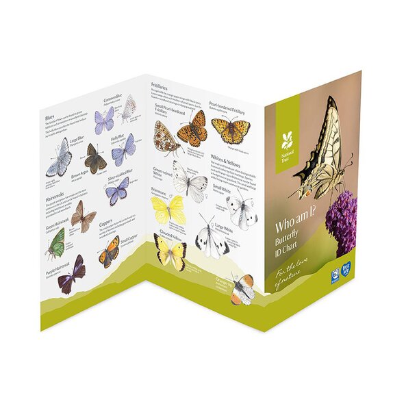 National Trust Butterfly ID Chart
