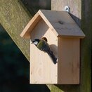 National Trust BYO Nest Box Kit* - image 2