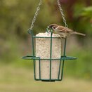 National Trust Insect Peanut Cake 1ltr - image 2