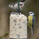 National Trust Peanut Cake Tube With Seed 500ml
