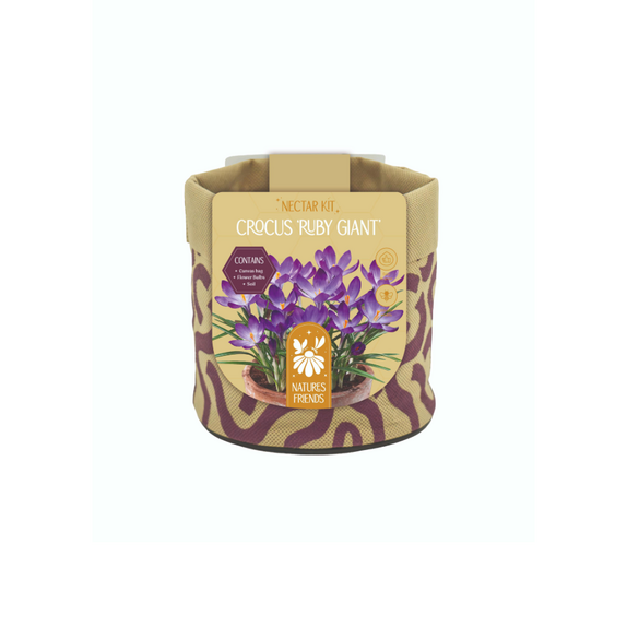 Nature's Friends Nectar Kit Small - Crocus Ruby Giant 