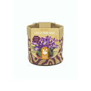 Nature's Friends Nectar Kit Small - Crocus Ruby Giant