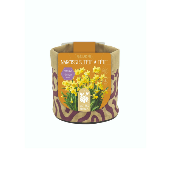 Nature's Friends Nectar Kit Small - Narcissus Tete a Tete 