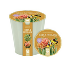 Nature's Friends Pollinator Planter - Orange