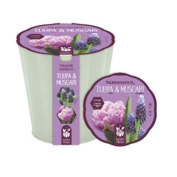 Nature's Friends Pollinator Planter - Purple