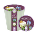 Nature's Friends Pollinator Planter - White
