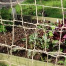 Netting Jute Plant Support 2m x 5m 