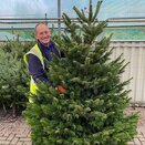 Nordman Fir Cut Classic Shape 6-7ft