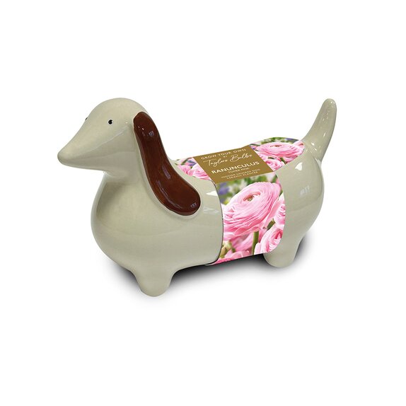 Novelty Sausage Dog Planter