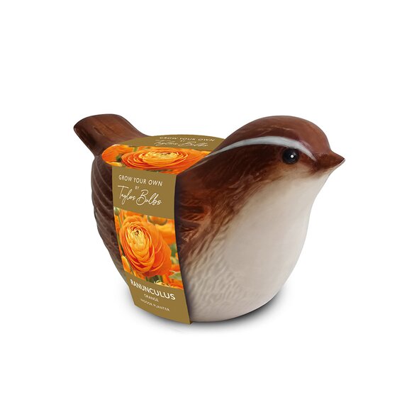 Novelty Wren Bird Planter