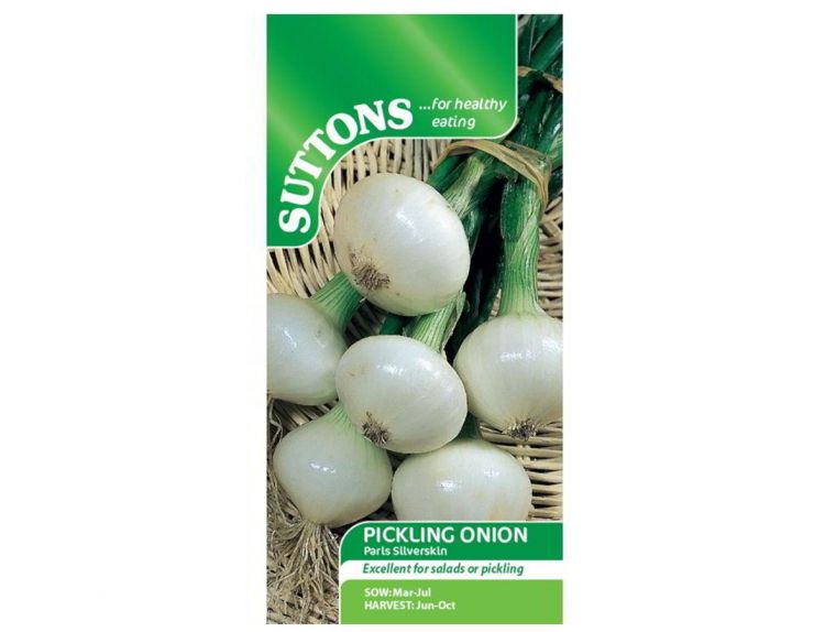 Onion Pickling Paris Silverskin - image 1