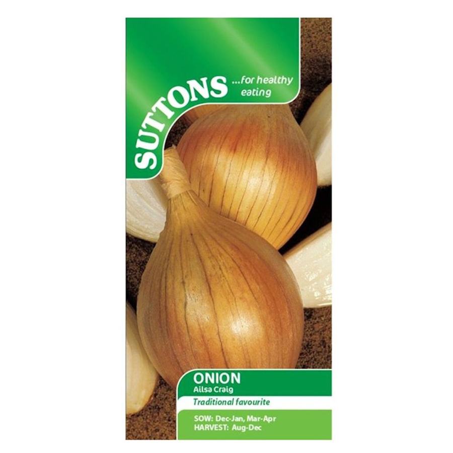 Onion Seeds Ailsa Craig Knights Garden Centres