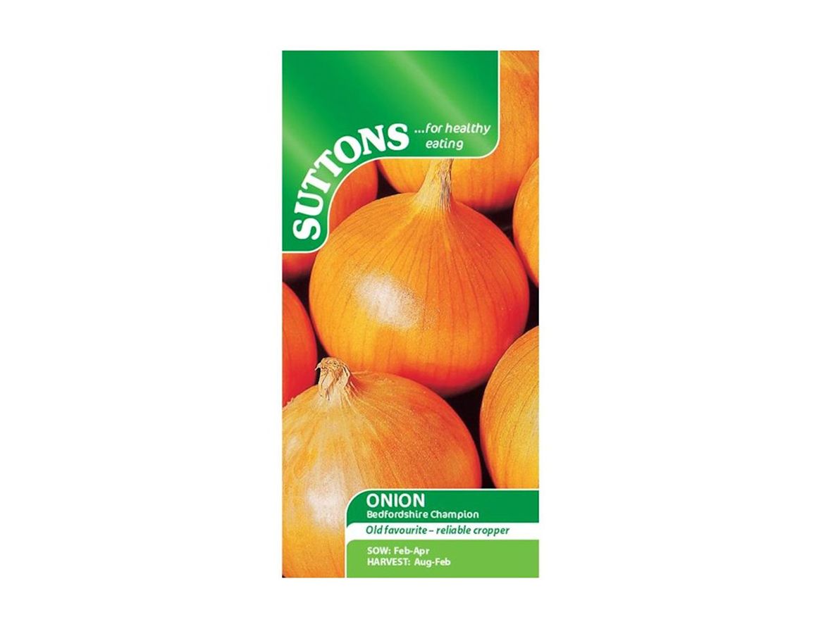 Onion Seeds Bedfordshire Champion Knights Garden Centres