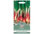Onion Seeds (Spring) North Holland Blood Red - image 1