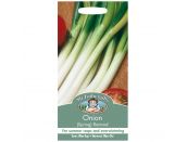 Onion Seeds (Spring) Ramrod - image 1