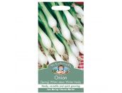 Onion Seeds (Spring) White Lisbon Winter Hardy - image 1