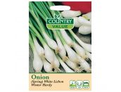 Onion Seeds (Spring) White Lisbon Winter Hardy - image 1