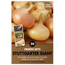 Onion Set Stuttgarter Giant
