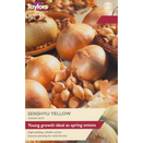 Onion 'Yellow Senshyu Autumn'
