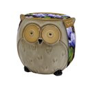 Owl Indoor Planter