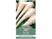 Parsnip Seeds White Gem - image 1