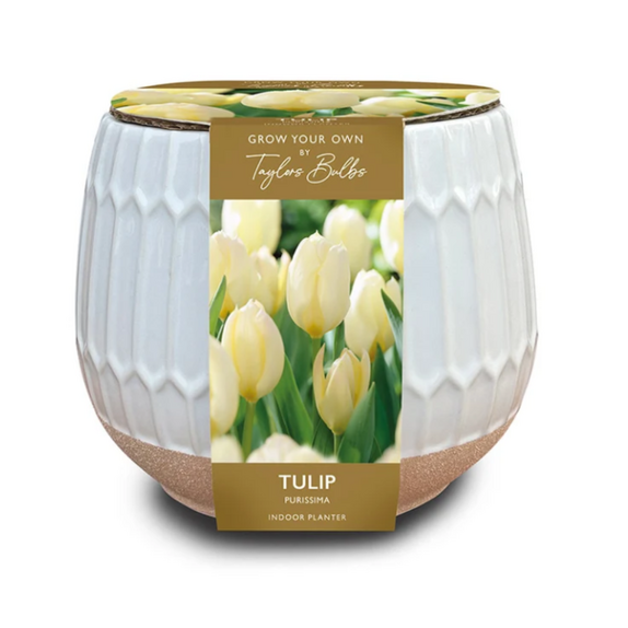 Part Glazed Ceramic Tulip Planter