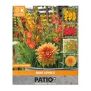 Patio Combination Orange Happiness