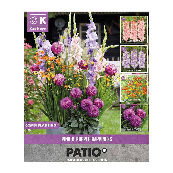 Patio Combination Pink & Purple Happiness