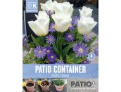 Patio Container Anemone Blue & Tulip White