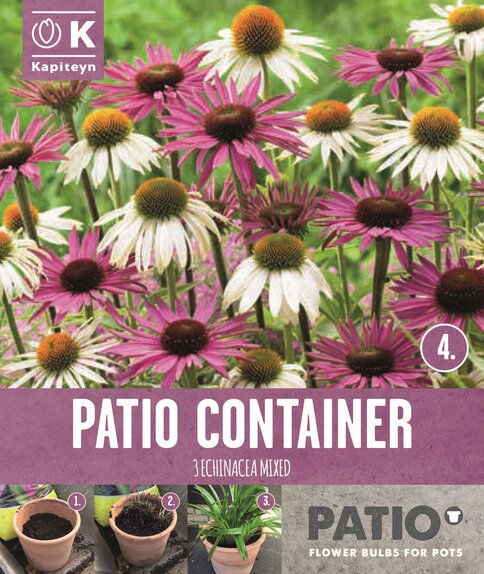 Patio Container Echinacea Sorbet Shades