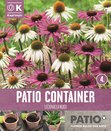 Patio Container Echinacea Sorbet Shades