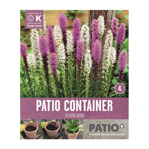 Patio Container Liatris Spicata Sorbet Shades