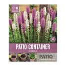 Patio Container Liatris Spicata Sorbet Shades