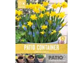 Patio Container Narcissus & Muscari