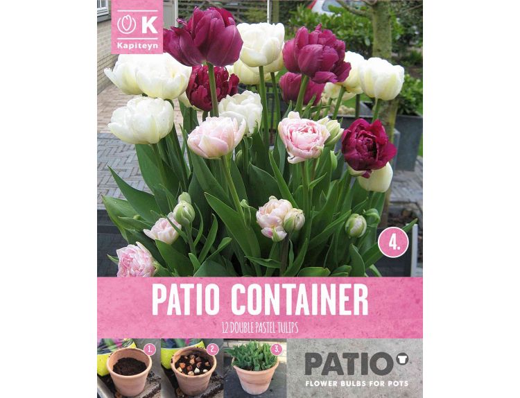 Patio Container Tulip Double Pink, Purple & White