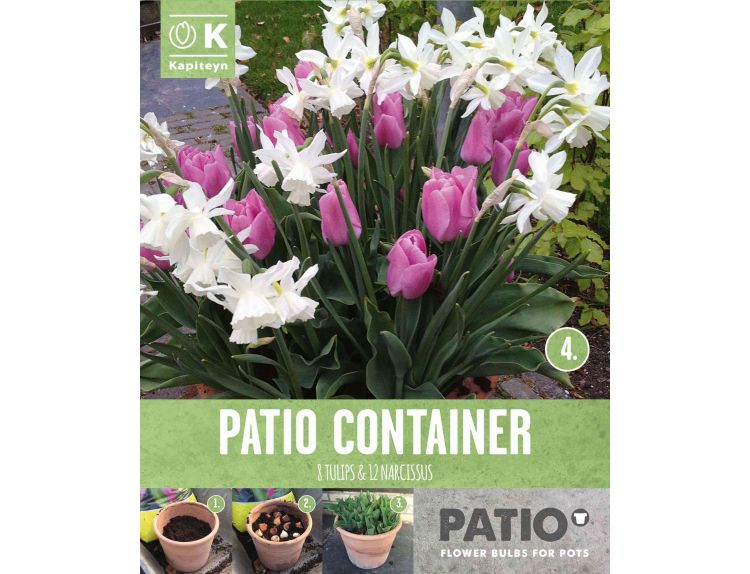 Patio Container Tulip Pink & Narcissus White