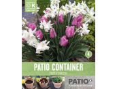 Patio Container Tulip Pink & Narcissus White