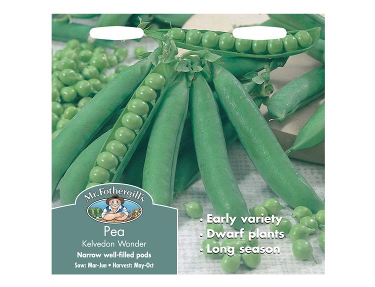 Pea Seeds Kelvedon Wonder - image 1