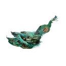 Peacock- Emerald - image 2
