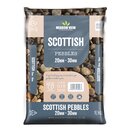 Pebbles Scottish 20-30mm - image 1