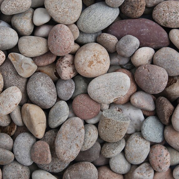 Pebbles Scottish 20-30mm - image 2