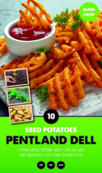 Pentland Dell Taster Pack