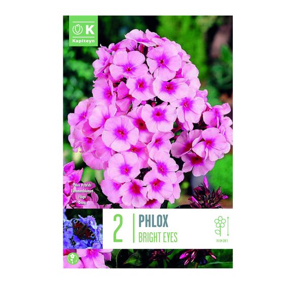 Phlox Bright Eyes bulbs