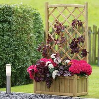 Planters & Raised Beds