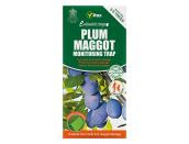 Plum Maggot Monitoring Trap