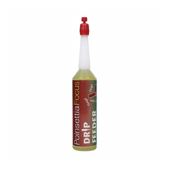 Poinsettia Focus Drip Feeder 38ml - Single