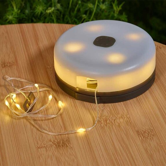 Portable String Lights - 100 LEDs - image 1