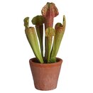 Pot of Faux Green Sarracenia 