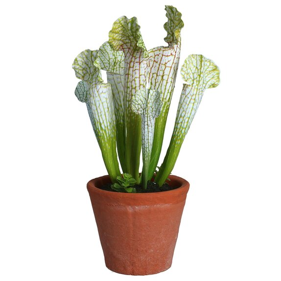 Pot of Faux White Sarracenia