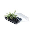 Propagator Standard Triple Pack - image 2